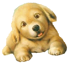 gifs-animados-perros.gif